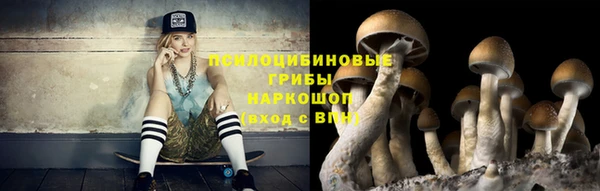 гашик Беломорск