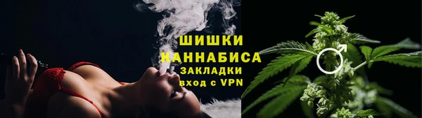 метадон Белокуриха