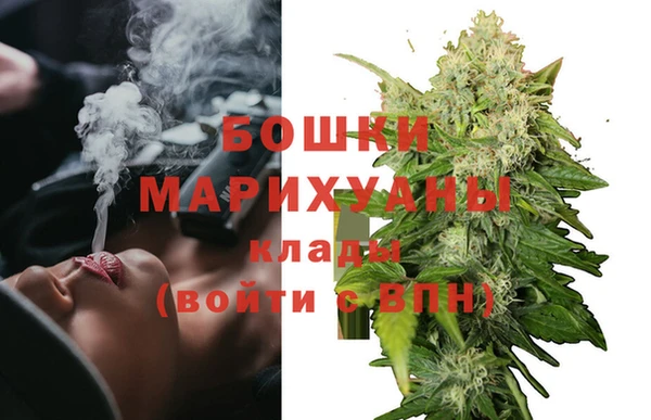 метадон Белокуриха