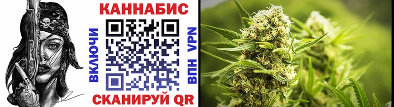 MEGA вход  сколько стоит  Гаврилов-Ям  Конопля сатива 